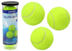 Tennisepalli komplekt, 3 tk цена и информация | Игры на открытом воздухе | kaup24.ee