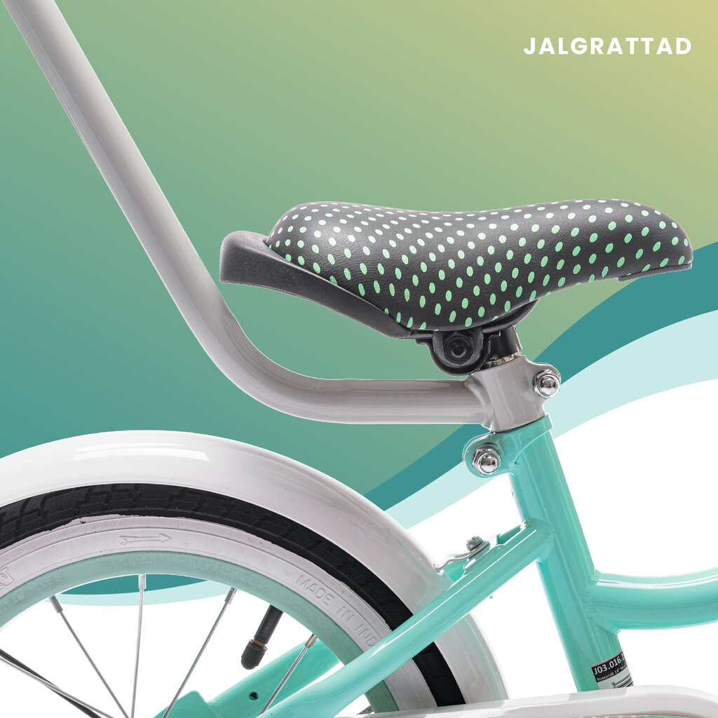 Laste jalgratas Heart Bike, 12", sinine цена и информация | Jalgrattad | kaup24.ee