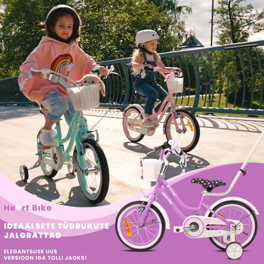 Jalgratas tüdrukule Flower Bike 14, lilla hind ja info | Jalgrattad | kaup24.ee