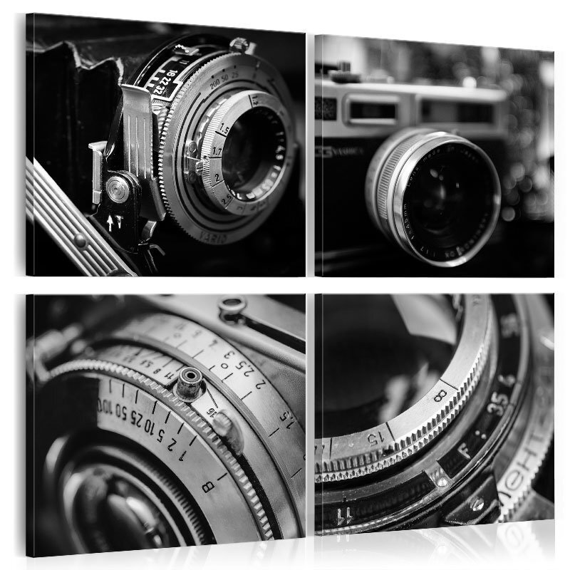 Maal - Vintage Cameras hind ja info | Seinapildid | kaup24.ee