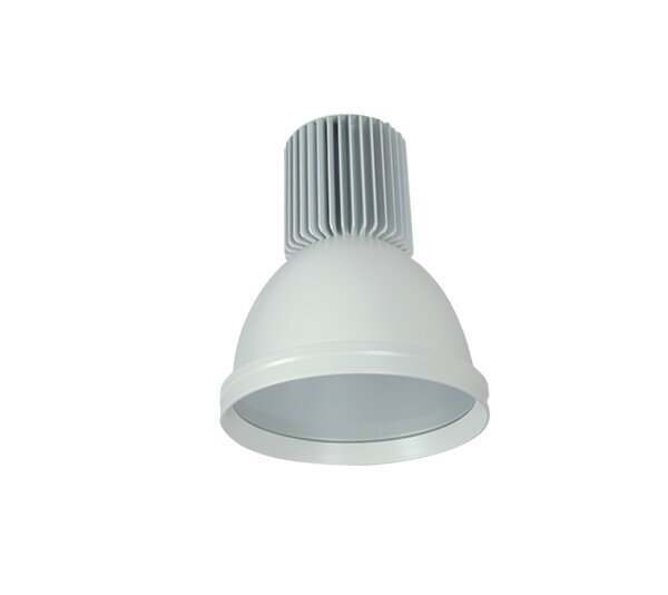 LED mini 30w valge hind ja info | Süvistatavad ja LED valgustid | kaup24.ee