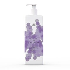 Vedel käteseep Alchimia Lavender, 500 ml цена и информация | Мыло | kaup24.ee