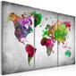 Maal - Diversity of World hind ja info | Seinapildid | kaup24.ee