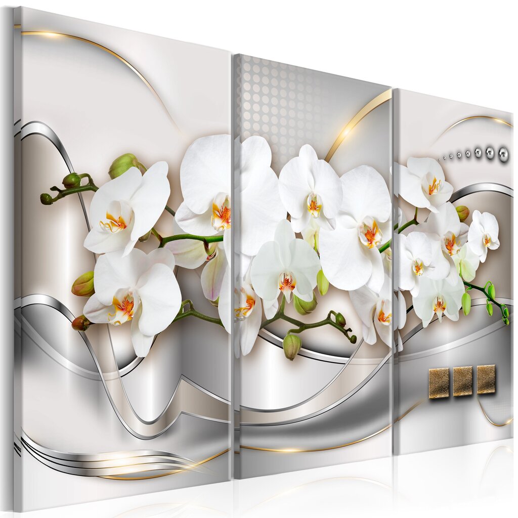 Maal - Blooming Orchids I hind ja info | Seinapildid | kaup24.ee