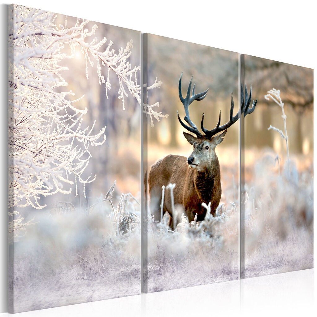 Maal - Deer in the Cold I цена и информация | Seinapildid | kaup24.ee