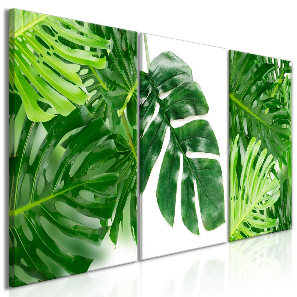 Maal - Palm Leaves (3 Parts) hind ja info | Seinapildid | kaup24.ee