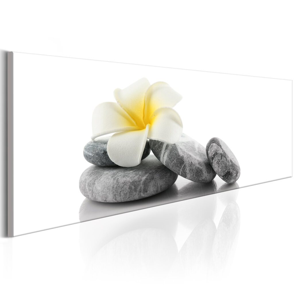 Maal - White Lotus цена и информация | Seinapildid | kaup24.ee