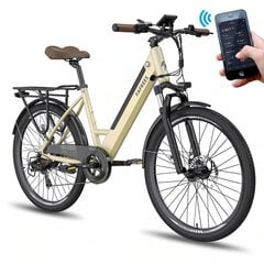 Электровелосипед FAFREES F26 Pro, 26", золотого цвета, 14,5 Ач цена и информация | Электровелосипеды | kaup24.ee