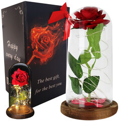 Вечная Роза со светодиодной подсветкой, красная цена и информация | Спящие стабилизированные розы, растения | kaup24.ee