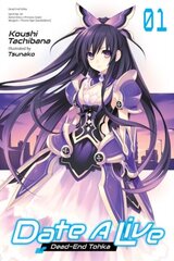 Date A Live, Vol. 1 (light novel) цена и информация | Романы | kaup24.ee