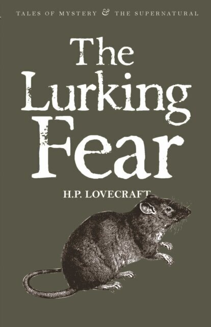 The Lurking Fear: Collected Short Stories Volume Four цена и информация | Kirjandusklassika | kaup24.ee