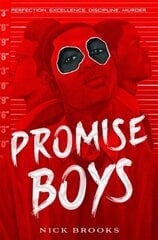 Promise Boys hind ja info | Romaanid | kaup24.ee