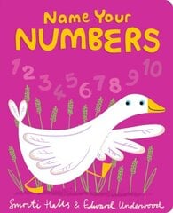 Name Your Numbers hind ja info | Lühijutud, novellid | kaup24.ee