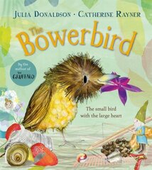 The Bowerbird hind ja info | Lasteraamatud | kaup24.ee