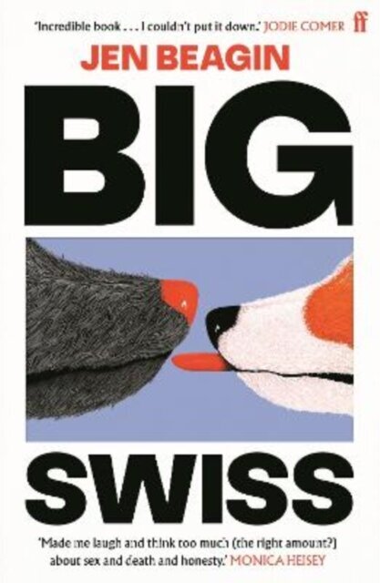 Big Swiss hind ja info | Romaanid  | kaup24.ee