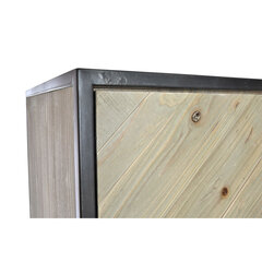 Шкаф DKD Home Decor Ель Металл (92 x 40 x 195 cm) цена и информация | Комоды | kaup24.ee