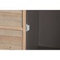 Puhvetkapp DKD Home Decor 100 x 35 x 89 cm, pruun hind ja info | Kummutid | kaup24.ee
