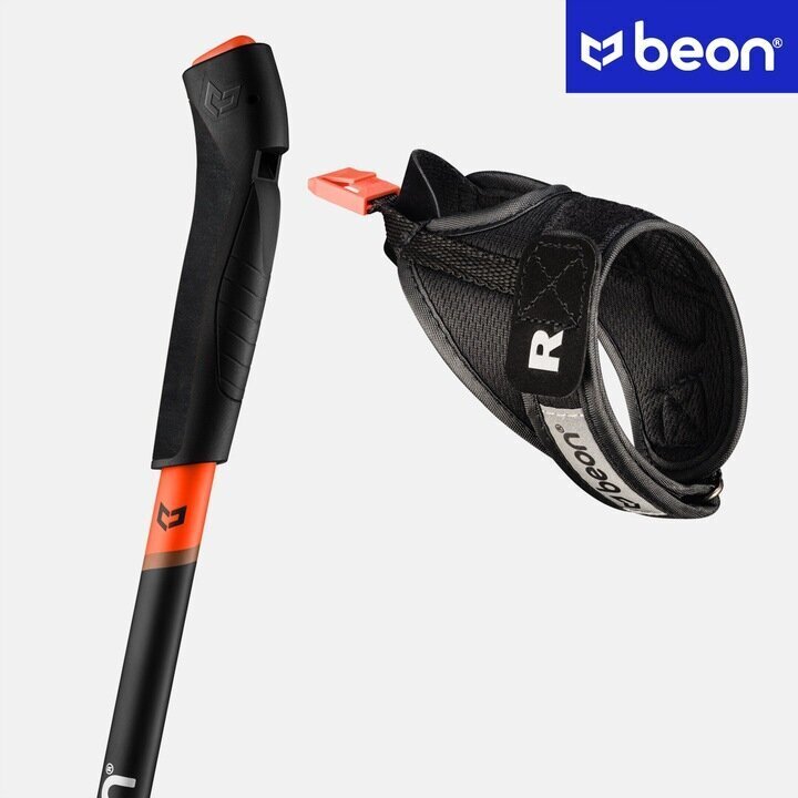 Jalutuskepid Beon NX2 61-135 cm hind ja info | Käimiskepid | kaup24.ee
