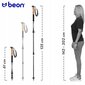 Jalutuskepid Beon Elite 61-135 cm цена и информация | Käimiskepid | kaup24.ee