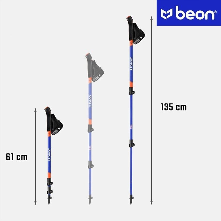 Kepid Beon NX2 61-135 cm цена и информация | Käimiskepid | kaup24.ee