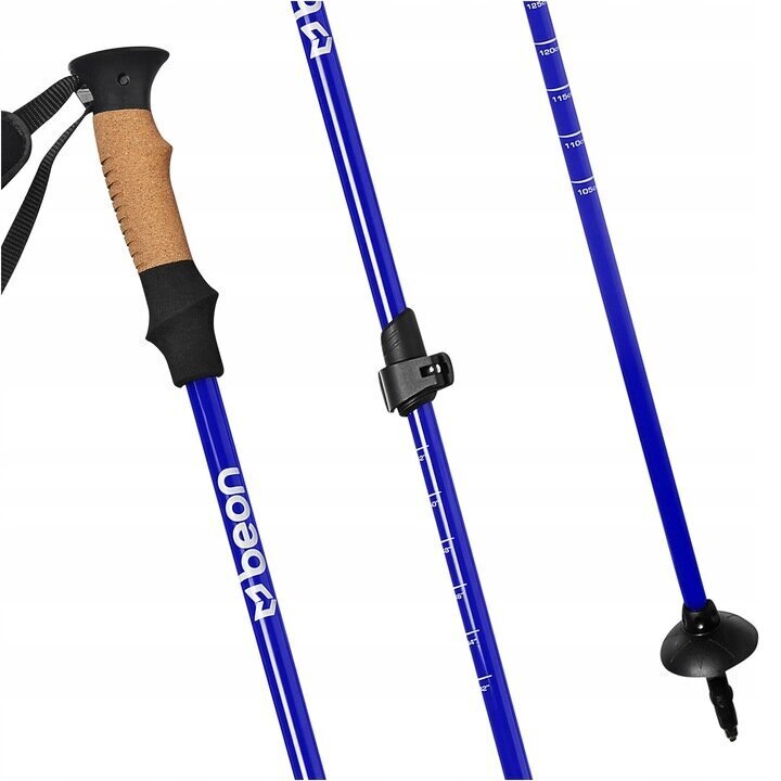 Jalutuskepid Beon Pro Sinine 61-135 cm hind ja info | Käimiskepid | kaup24.ee