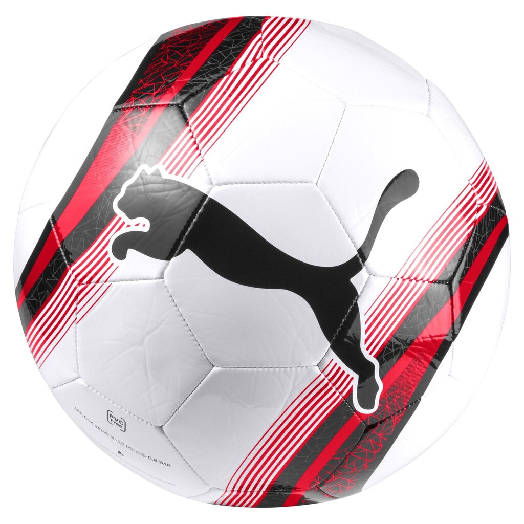 Jalgpalipalll Puma, suurus 3 цена и информация | Jalgpalli pallid | kaup24.ee