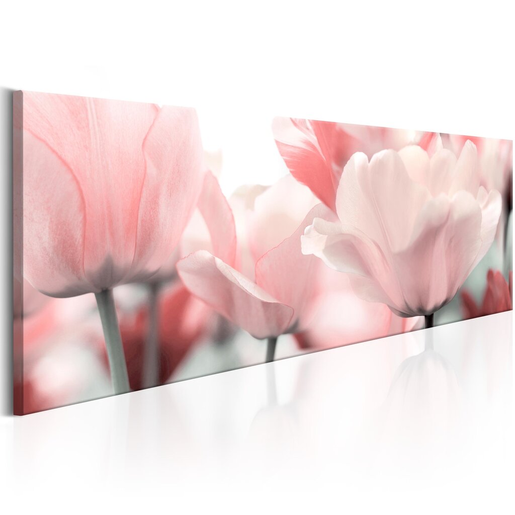 Maal - Pink Tulips цена и информация | Seinapildid | kaup24.ee