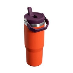 Термобутылка с соломинкой The IceFlow Flip Straw Tumbler 0,89 л белая цена и информация | Термосы, термокружки | kaup24.ee