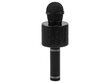 Juhtmevaba mikrofon koos kõlariga, must цена и информация | Mikrofonid | kaup24.ee