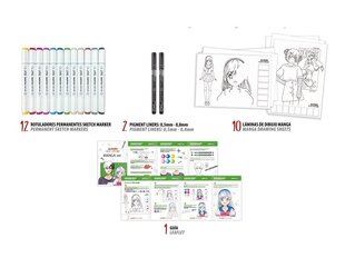 Joonistuskomplekt markeritega Alpino Manga hind ja info | Kunstitarbed, voolimise tarvikud | kaup24.ee