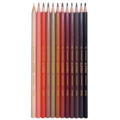 Värvilised pliiatsid Alpino Skin tones, 12 värvi hind ja info | Kunstitarbed, voolimise tarvikud | kaup24.ee