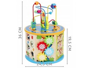 Puidust hariv kuubik, sorteerija Picollo 8in1 hind ja info | Imikute mänguasjad | kaup24.ee