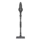 Hoover HF103X 011 hind ja info | Varstolmuimejad | kaup24.ee