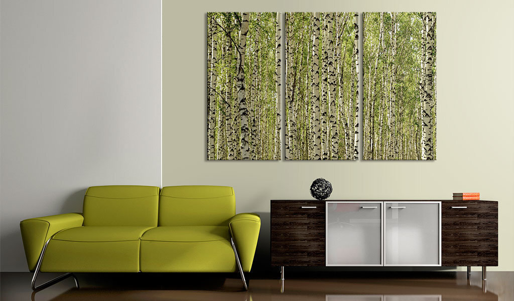 Maal - A forest of birch trees hind ja info | Seinapildid | kaup24.ee