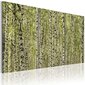 Maal - A forest of birch trees hind ja info | Seinapildid | kaup24.ee