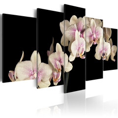 Maal - An orchid on a contrasting background цена и информация | Картины, живопись | kaup24.ee