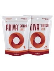 Vet-Adiva Entero Small/Medium N28 (mao-sooletrakti toetuseks) hind ja info | Vitamiinid, toidulisandid ja parasiitide vastased tooted | kaup24.ee