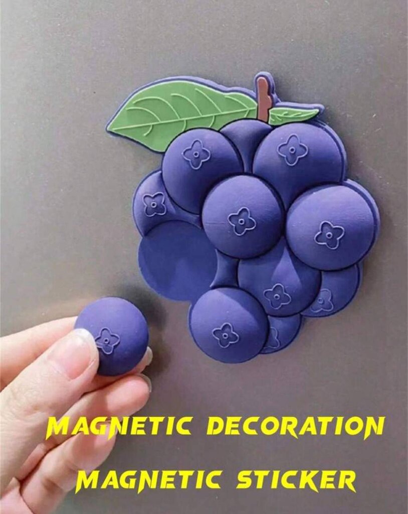 Dekoratiivne külmkapi magnet, Electronics LV-649, 1 tk hind ja info | Muud kingitused | kaup24.ee