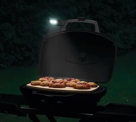 Grilllamp Napoleon TQ285/PRO285 hind ja info | Grillitarvikud ja grillnõud | kaup24.ee