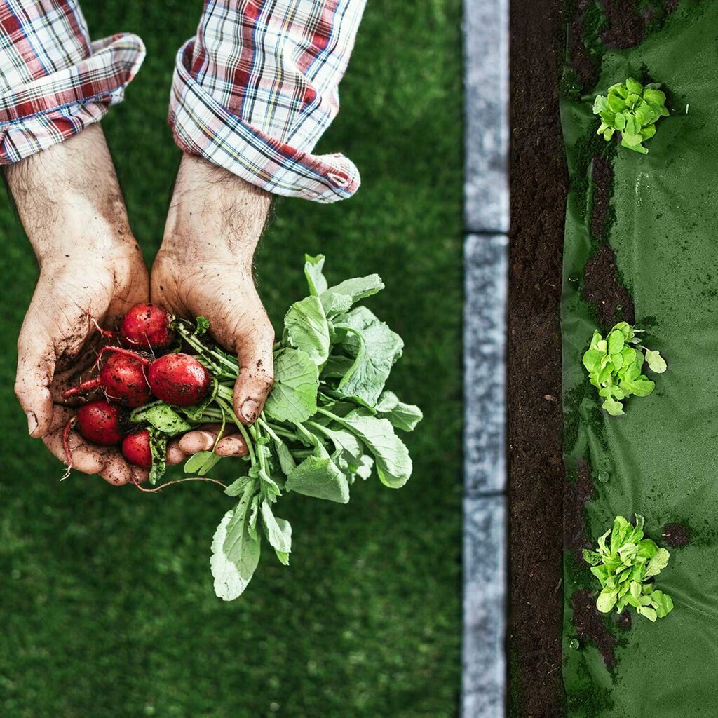 Agrotekstiil, roheline hind ja info | Aiatööriistad | kaup24.ee