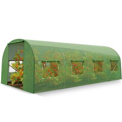 Aiatunnel Plonos, 2,5x4 m hind ja info | Kasvuhooned | kaup24.ee