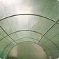 Aiatunnel Plonos, 2,5x4 m hind ja info | Kasvuhooned | kaup24.ee