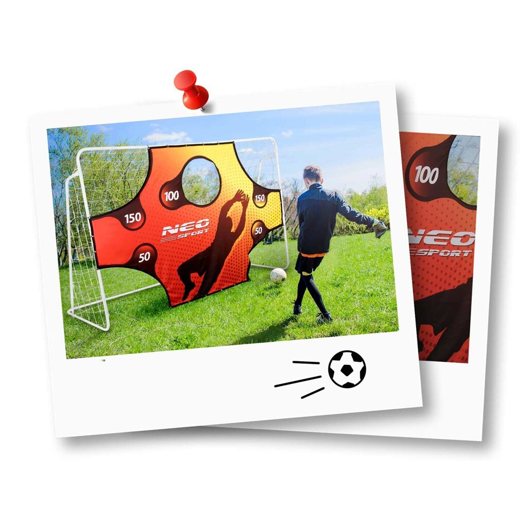 Jalgpallivärav Neo-Sport, 300 x 200 x 120 cm hind ja info | Jalgpalliväravad ja -võrgud | kaup24.ee
