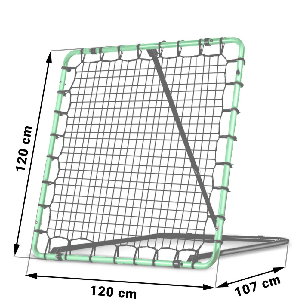 Treeningu eesmärk rebounder Neo-Sport, 120 x 120 cm цена и информация | Jalgpalliväravad ja -võrgud | kaup24.ee