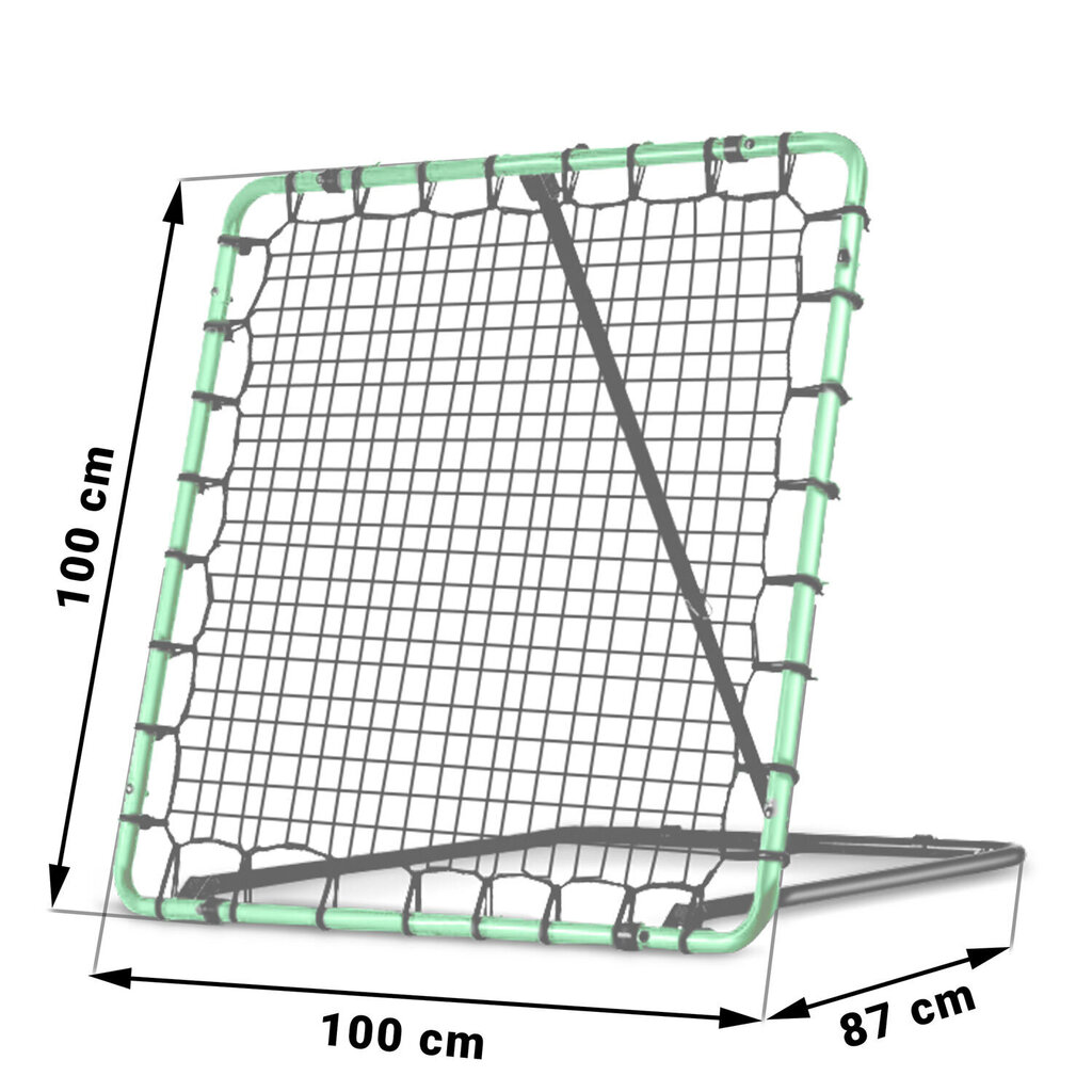 Treeningu eesmärk rebounder Neo-Sport, 100 x 100 cm цена и информация | Jalgpalliväravad ja -võrgud | kaup24.ee