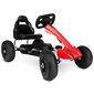 Lastepedaaliga gokart Ricokids RK-591, punane hind ja info | Poiste mänguasjad | kaup24.ee