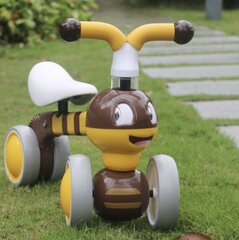Балансирующий мини-велосипед Bee Ecotoys цена и информация | Детский трехколесный велосипед - коляска с удобной ручкой управления для родителей Riff F95941 2в1, фиолетовый | kaup24.ee