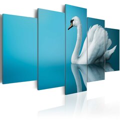 Maal - A swan in blue hind ja info | Seinapildid | kaup24.ee