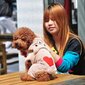 Body koertele Korbi, erinevad suurused, pruun цена и информация | Riided koertele | kaup24.ee
