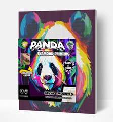 Teemantmosaiik Splat Planet Panda 2, 30x40 cm hind ja info | Teemantmaalid, teemanttikandid | kaup24.ee